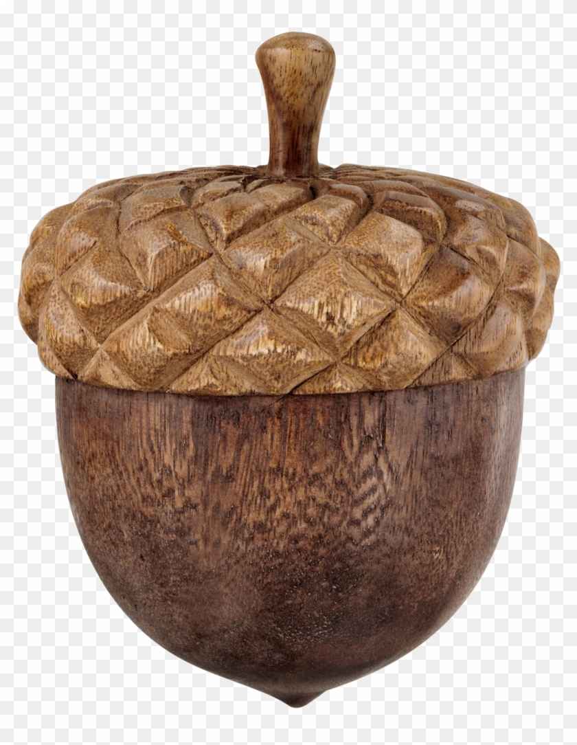 Acorn Png Free Download - Portable Network Graphics Clipart #60092