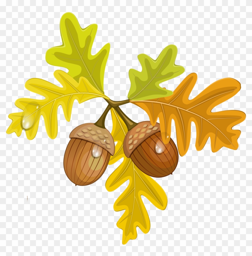 Leaves And Acorns Clipart - Png Download #60192