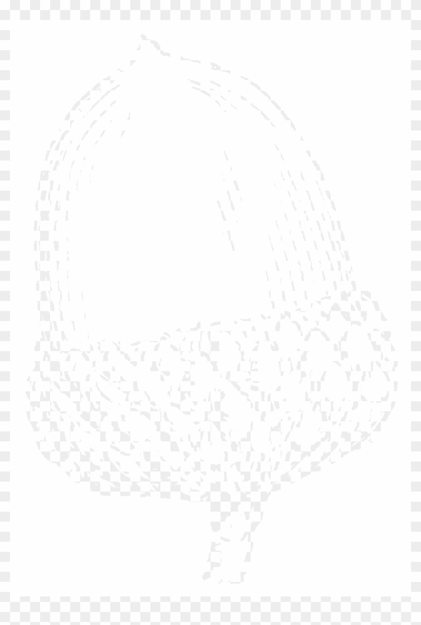 Png Acorn - Acorn Drawing Clipart #60431