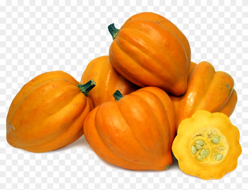 Acorn Squash Png File - Pumpkin Clipart