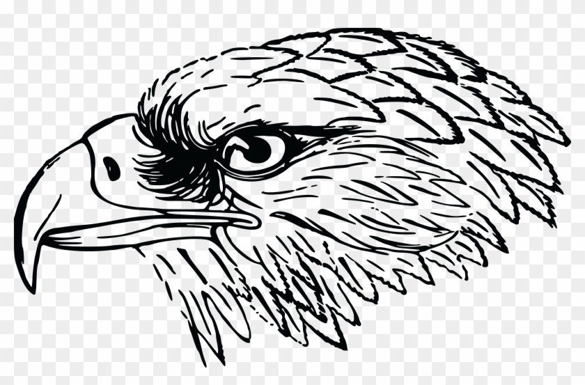 Free Clipart Of A Black And White Falcon Or Eagle Head - Eagle Head Black And White - Png Download