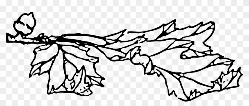 This Free Icons Png Design Of Acorn And Leaf Clipart #61271