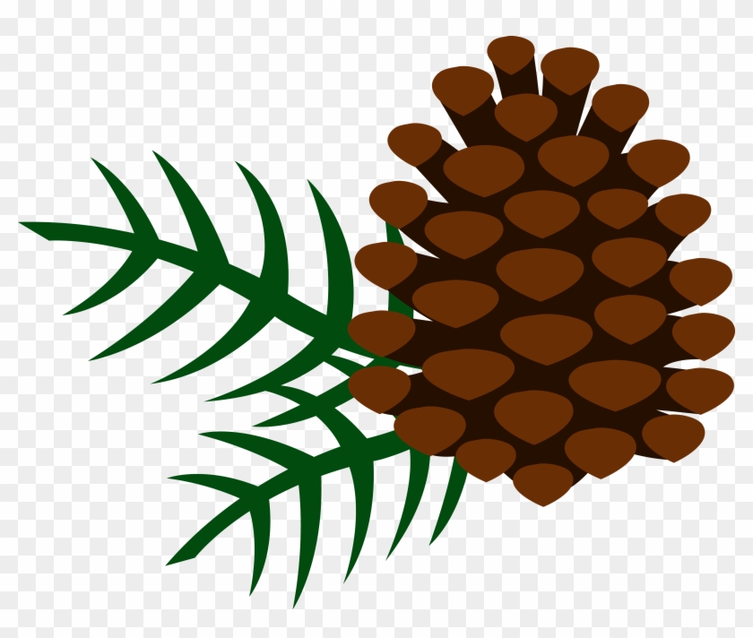 Acorn Clipart Easy - Clip Art Pine Cones - Png Download