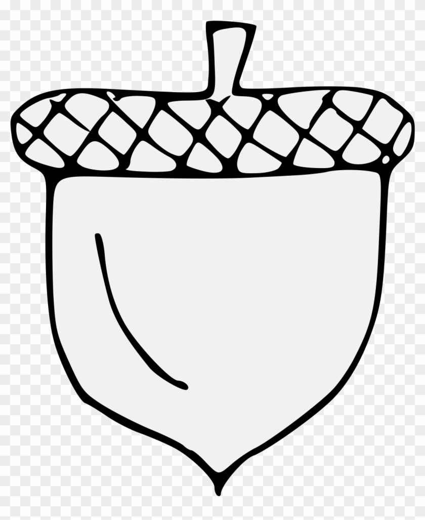 Acorn Clipart