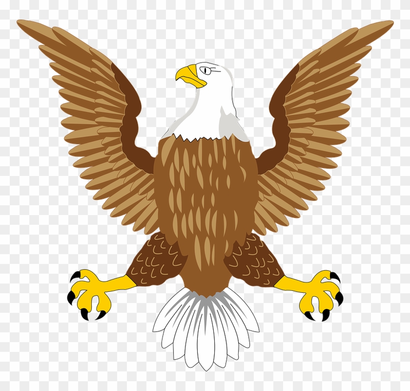 Download Free Falcon Birds Png Transparent Images Transparent - American Eagle Symbol Png Clipart #61480