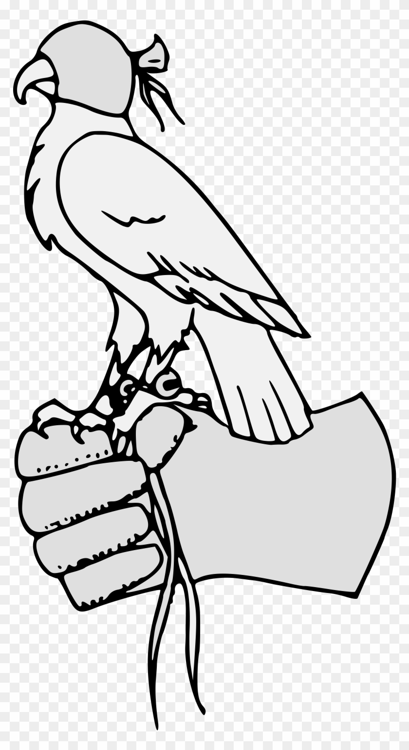 Details, Png - Parrot Clipart
