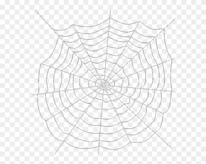 Spiders Web Transparent Png Image - Spider Web Png Transparent Background Clipart #61718