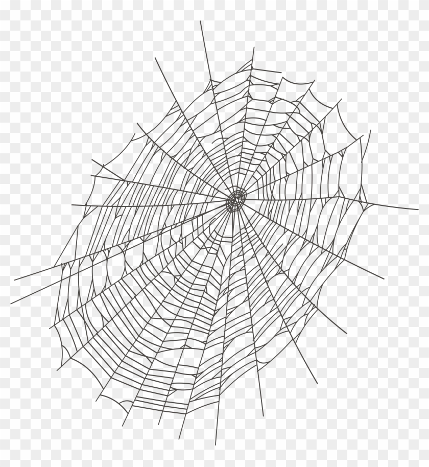 Halloween Large Spider Web Png Clipart Transparent Png #61757