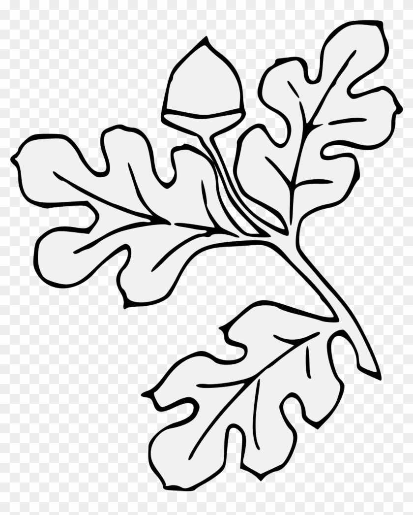 Acorn Slipped & Leaved - Line Art Clipart #61805