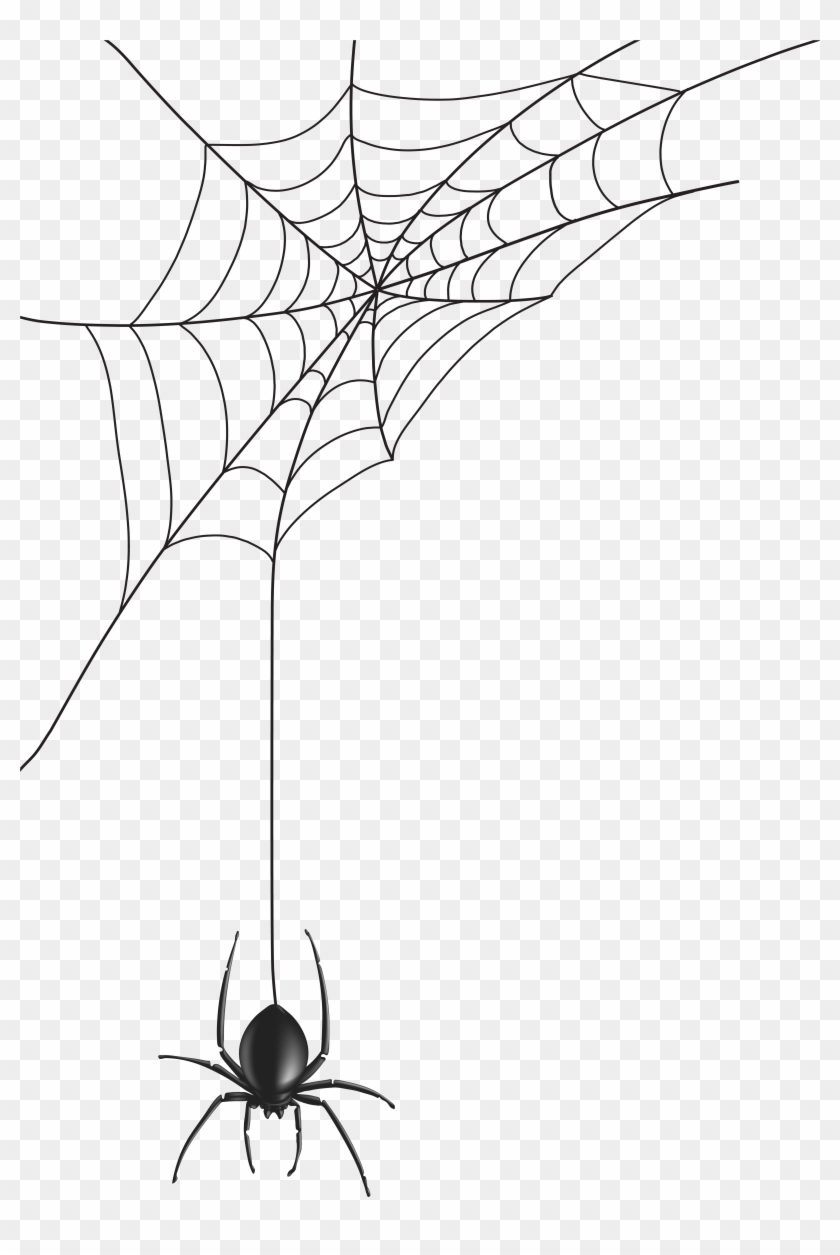 Spider Web Png Clip Art Image - Transparent Spider Web Vector #61934
