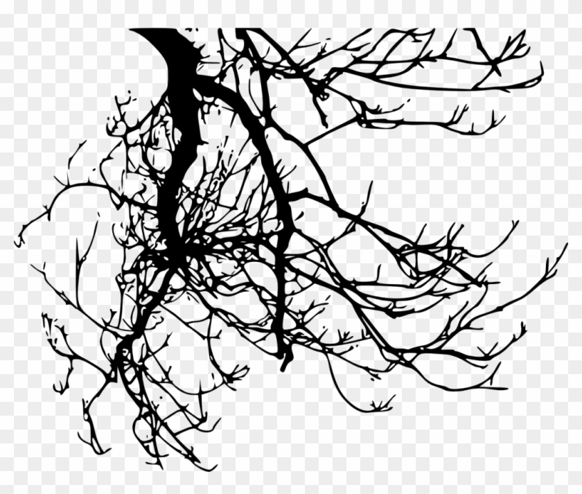 Svg Library Download Branch Transparent Creepy - Tree Branches Silhouette Png Clipart