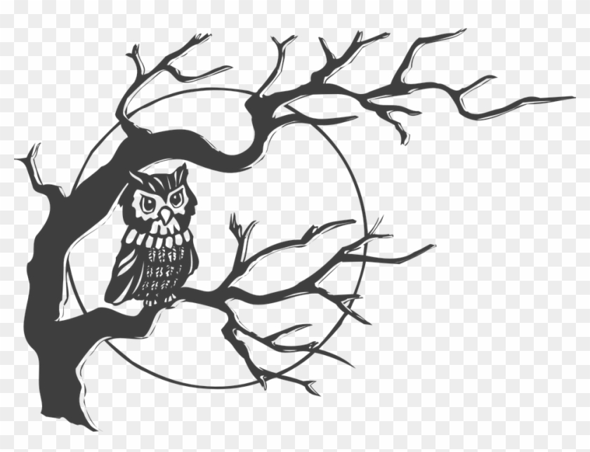 Owl Tree Moon - Owl In A Tree Clipart - Png Download