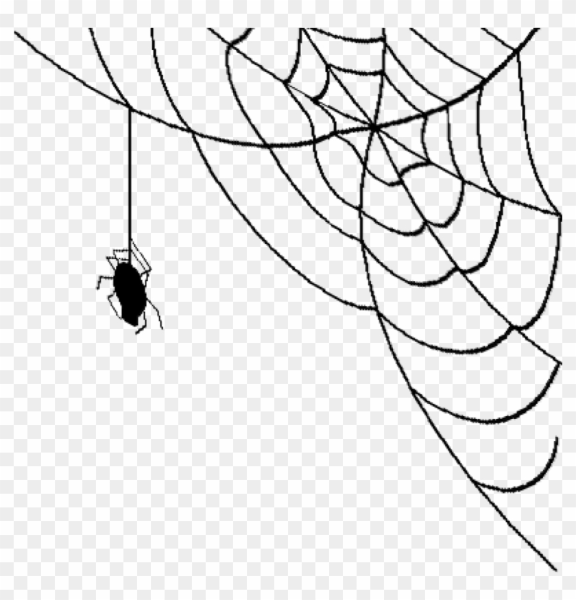 Spider Web Transparent Background Hd Png Download 62615