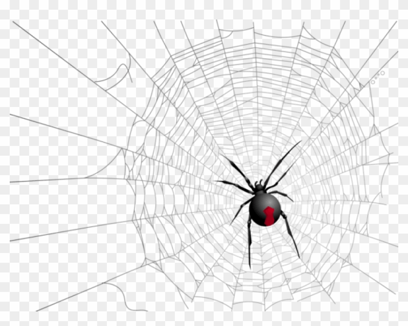 Free Png Download Halloween Transparent Net And Spider - Spider Clipart