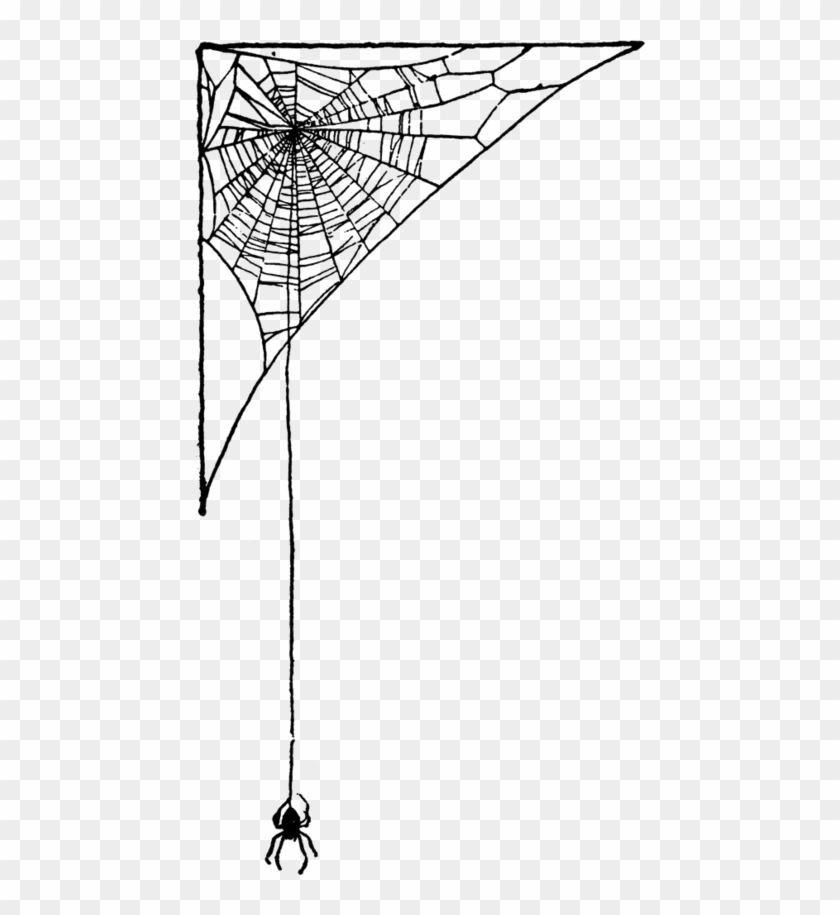 Spider Web Png Index Of Imagesthumb222spider Web Clip - Spider Web Png Gif Transparent Png