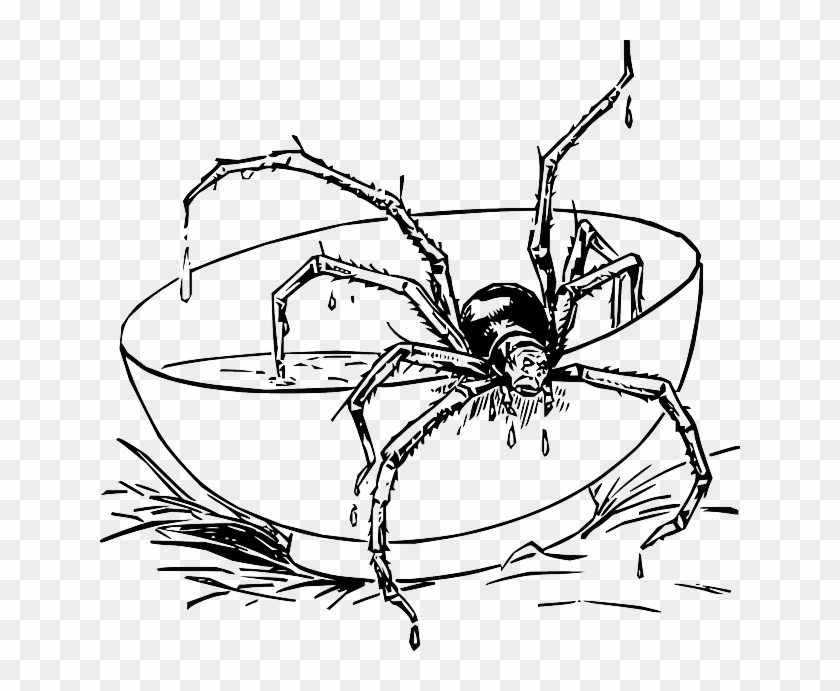 Jpg Library Stock Spider In Web Drawing At Getdrawings - Creepy Spider Coloring Pages Clipart #64520