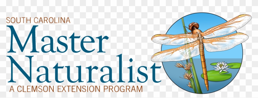 Biglogo - Illustration Clipart #64693