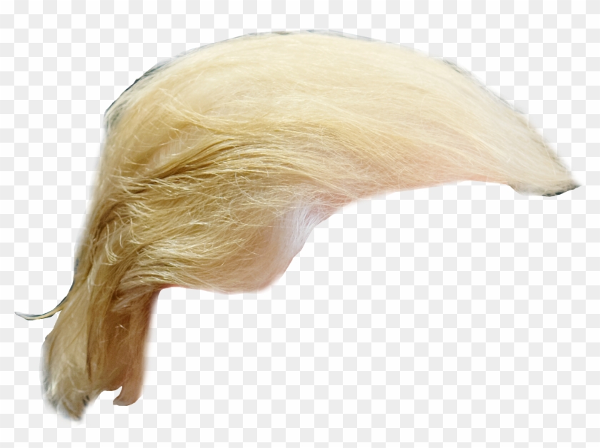 Trump Hair - Donald Trump Hair Transparent Clipart #65334