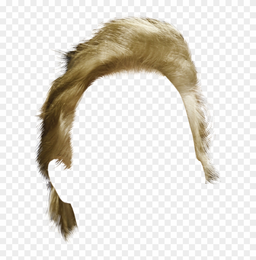 Transparent Donald Trump Hair Clipart