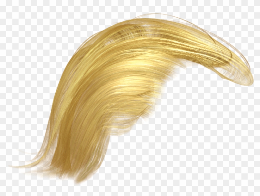 Free Png Download Donald Trump Hair Transparent Png - Blond Clipart