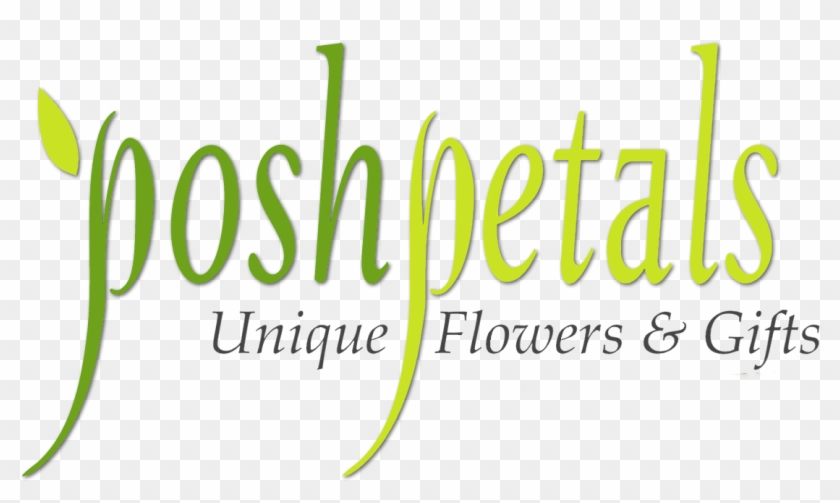 Junction City Dragons Clipart #65551