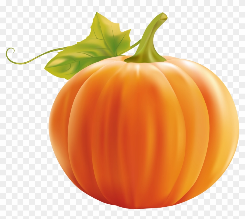 Free Pumpkin 6 Clipart - Pumpkin Png Transparent Png #65766
