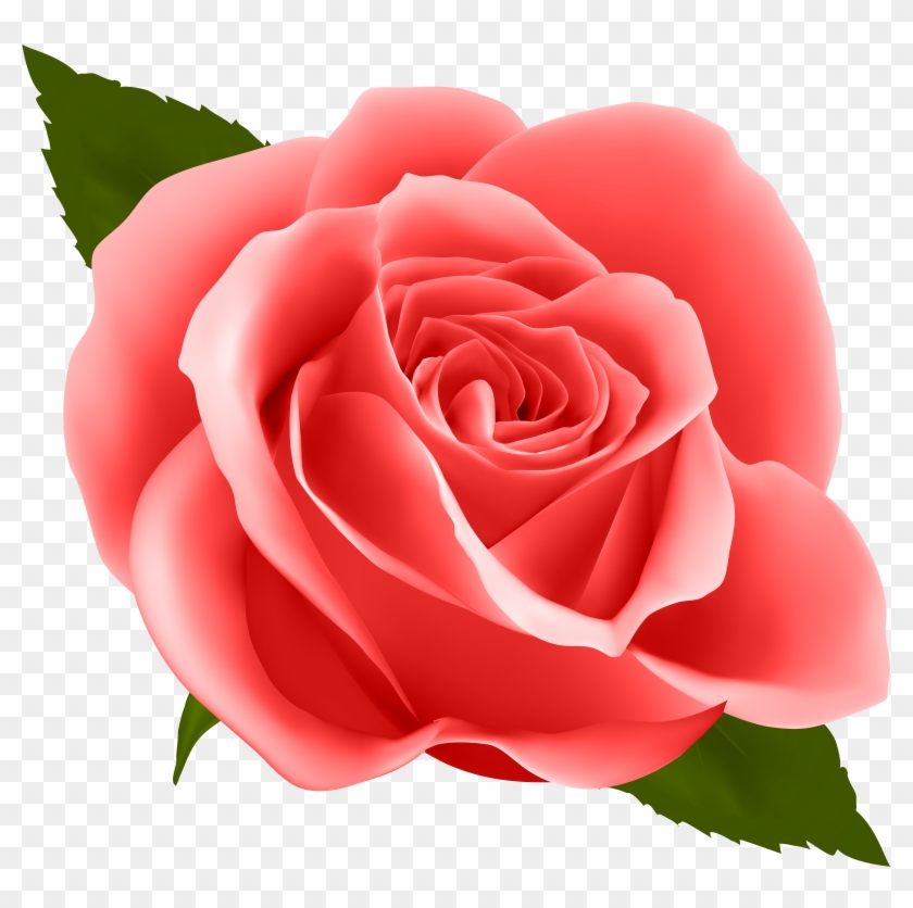 Free Png Download Red Rose Png Images Background Png - Happy New Month Flowers Clipart