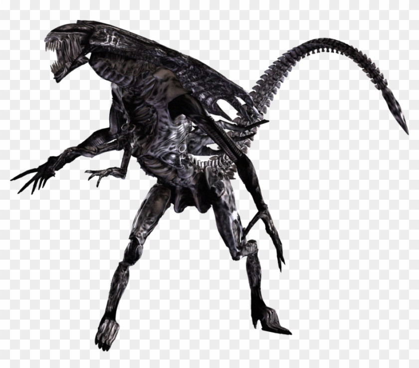 Xenomorph Queen - Https - //78 - Media - Tumblr - Com/tumblr - Alien Queen Png Clipart