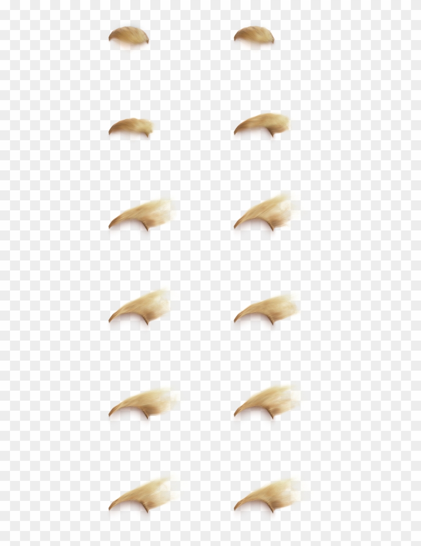 It Seems There Are 16 Sprites - Close-up Clipart