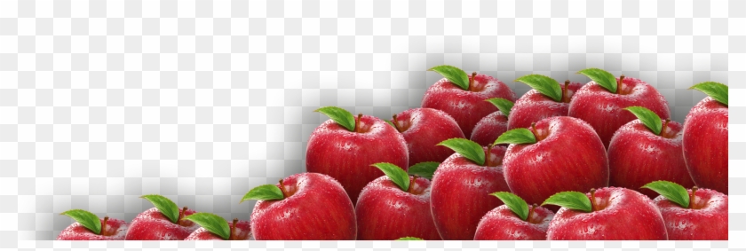 Apples Png Clipart #67833