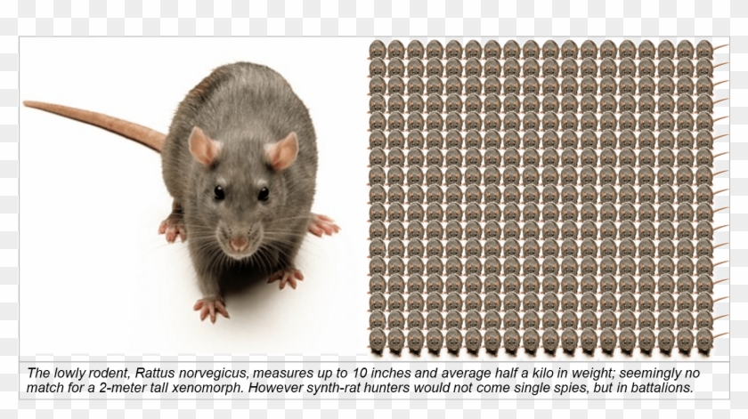 If You Are A Station Commander With A Vicious Beastie - Alb Clipart #67836