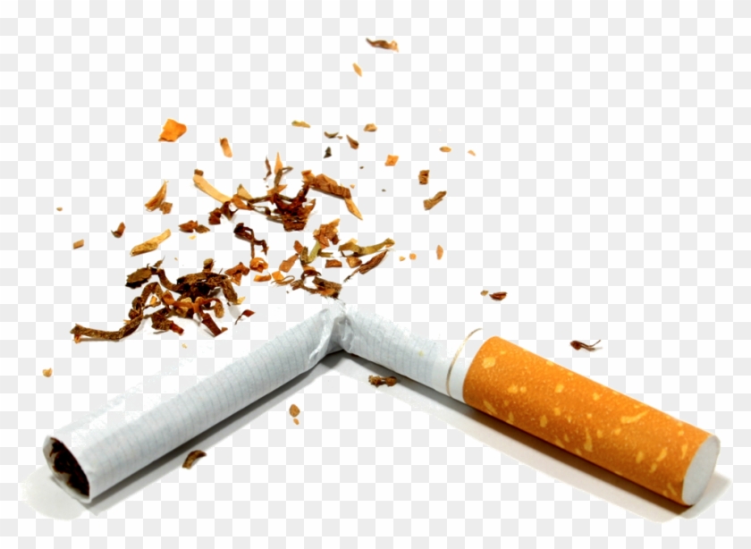 Broken Cigarette - Transparent Background Cartoon Cigarette Png Clipart #68388