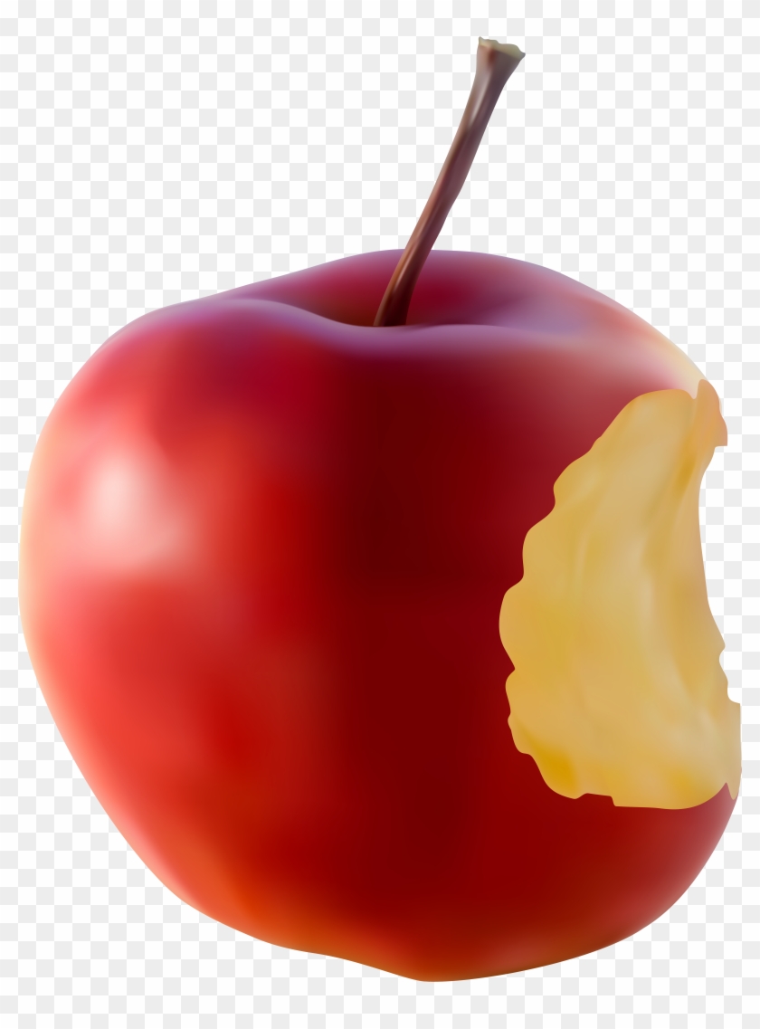 6359 X 8000 6 Clipart