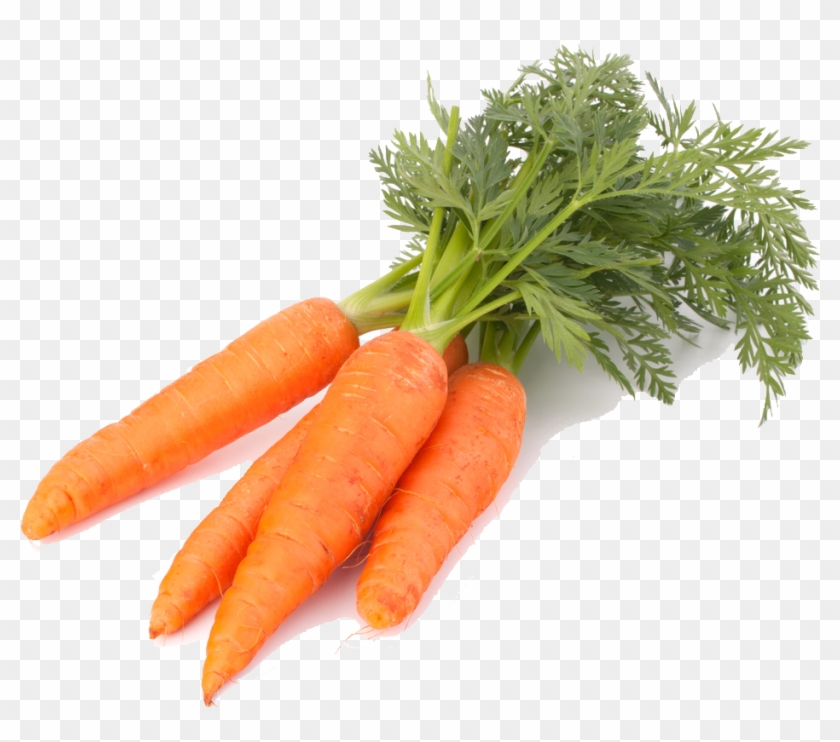 Carrot Png Clipart #69539