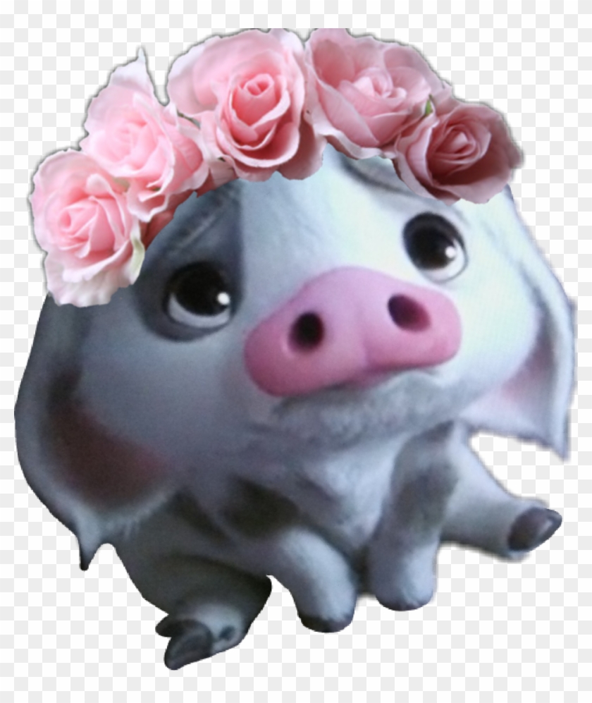 Moana Pua Puuuaaaaaa Puuuuaaaaaaa Puuuaaaaaaa - Pig Face Clipart