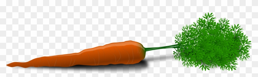 Carrot Png Image - Carrot Clip Art Transparent Png #69925