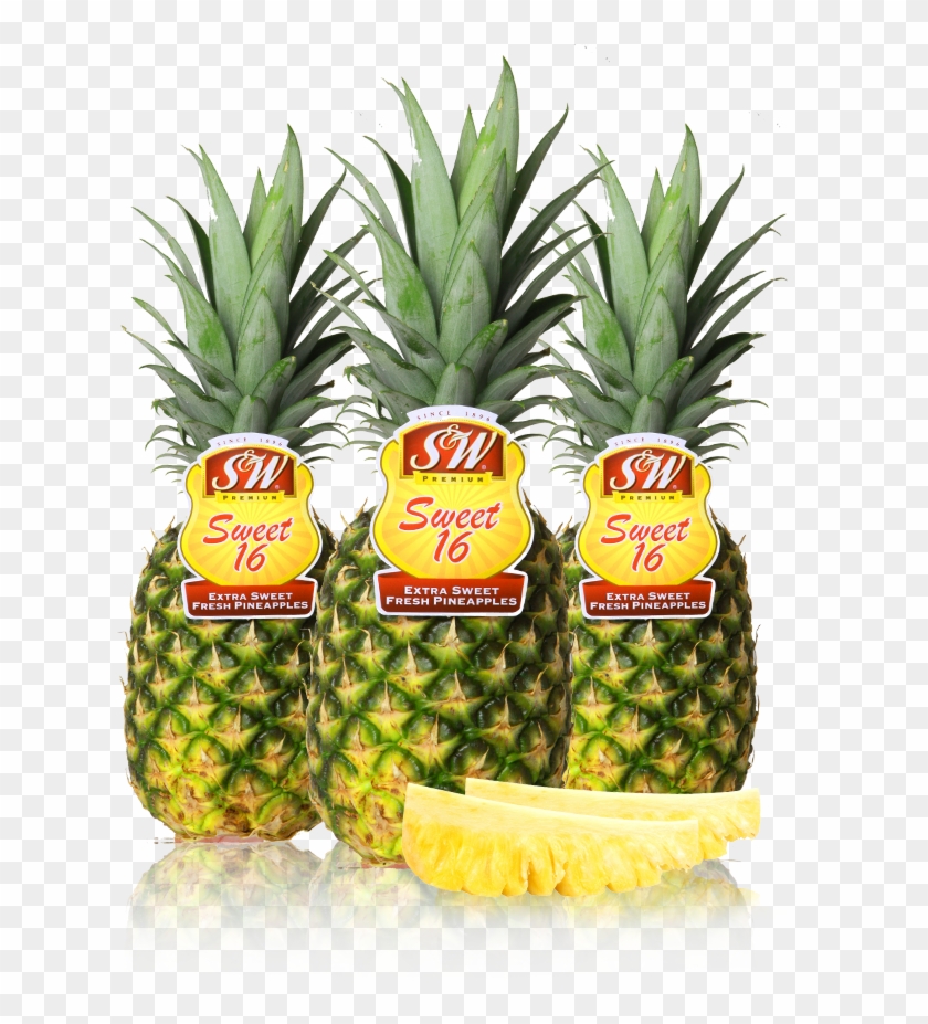 Pineapple - Sweet 16 Pineapple Clipart #600373