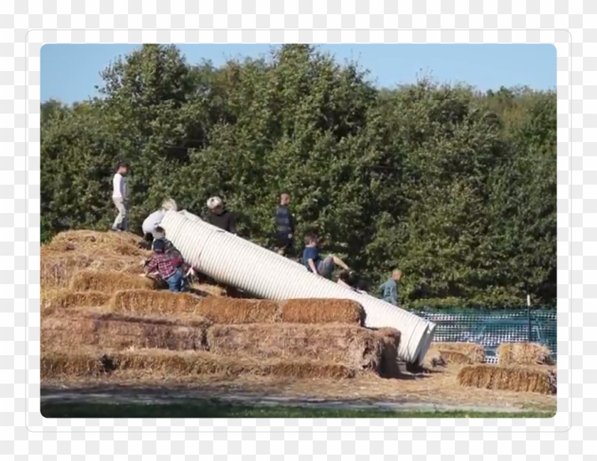 Haystack Mountain - Tree Clipart