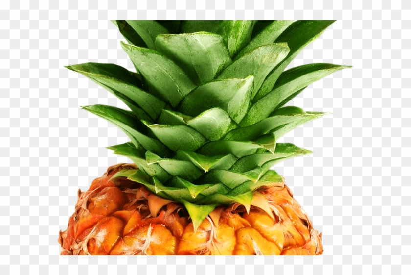 Pineapple Png Transparent Images - Pineapple Png Clipart