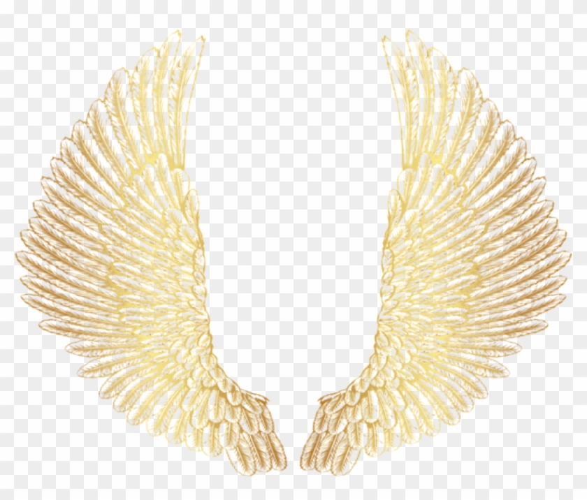 Free Png Download Gold Wings Clipart Png Photo Png - Golden Wings Png Transparent Png