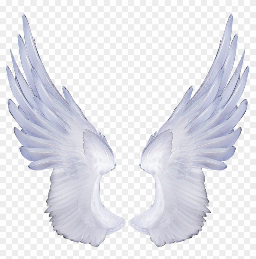 Free Icons Png - Beyaz Melek Kanadı Png Clipart