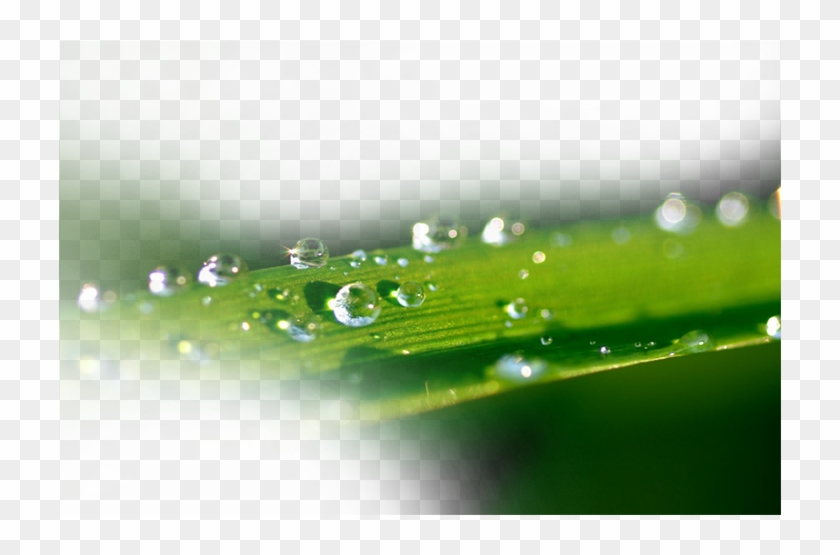 Water Splash Transprent Png Free Download Clipart