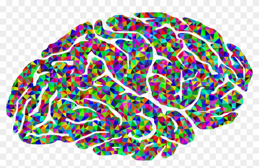 Pin Colors Clipart Brain - Brain Psychology Png Transparent Png