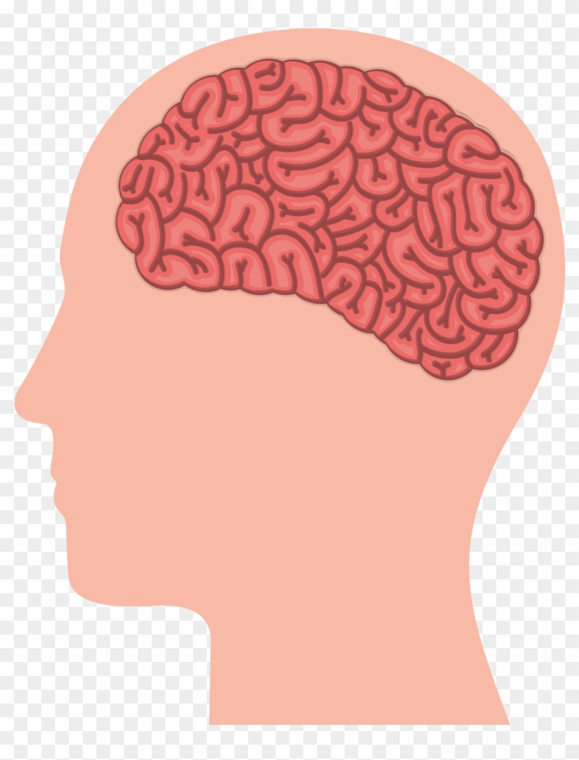 2263 X 2529 6 - Vector Graphics Clipart