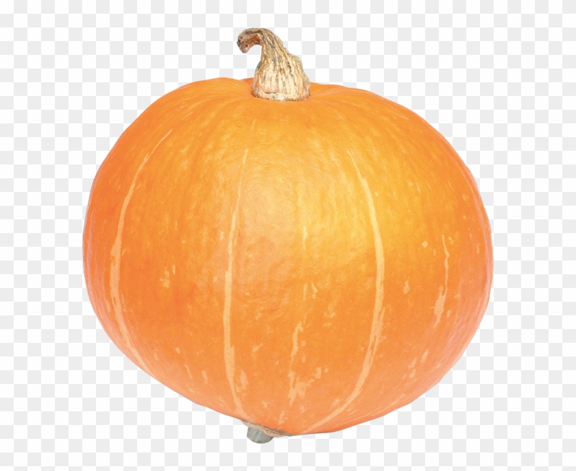 Pumpkin Png Free Download - Portable Network Graphics Clipart #602516