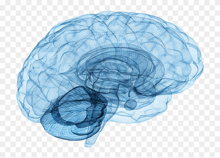 Our Approach - Neuro Brain Clipart