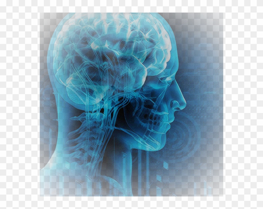 There Has Been A Common Misconception For Many Years - Therapy Brain Clipart