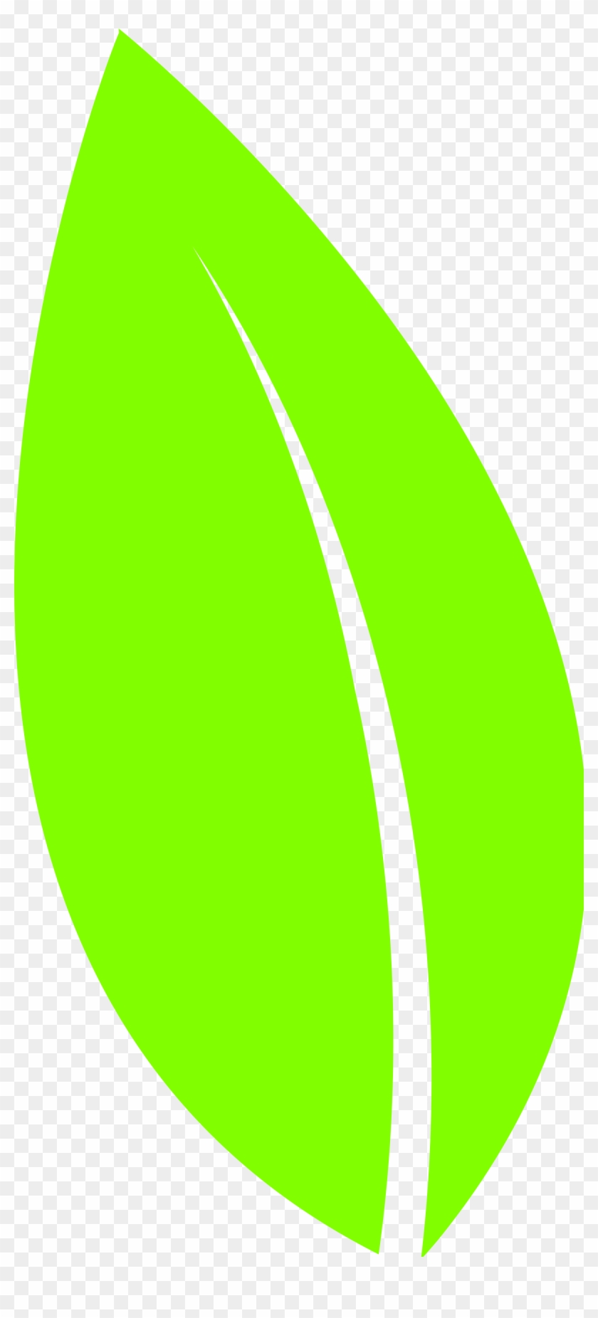 Leaf Png Vector - Листок Вектор Png Clipart