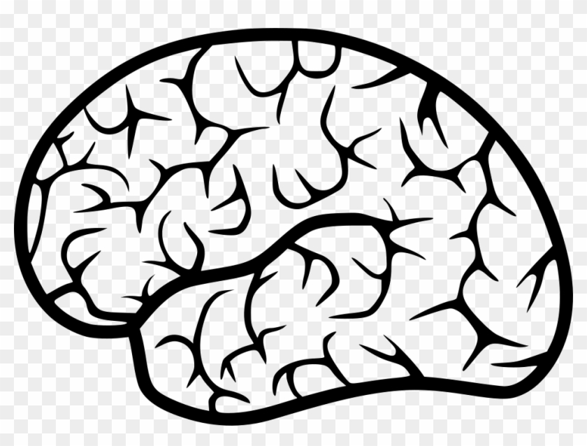 Png File Svg - Human Brain Free Icon Clipart