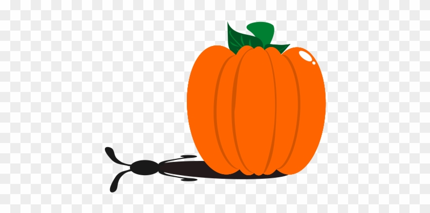 Pumpkin Png Clipart